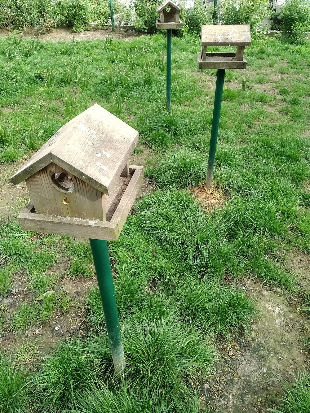 Photo of a similar item: Birdbuddy Pro Solar Smart Bird Feeder with Camera