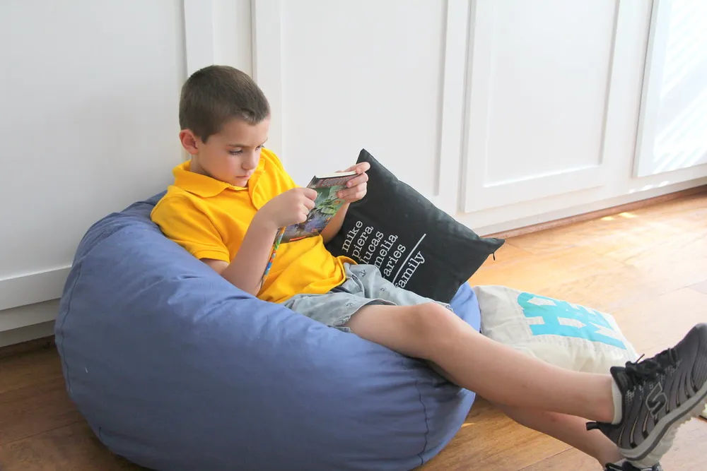 Photo of a similar item: Big Joe Fuf 5 ft Foam Bean Bag Chair