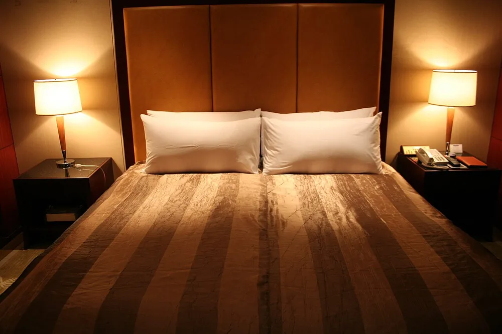 Photo of a similar item: Simple&Opulence 100% Linen Euro Shams, 26 x 26 in, Set of 2