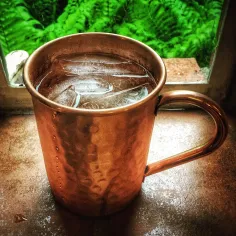 Photo of a similar item: Kitchen Science Stainless-Lined Copper Moscow Mule Mugs, Set of 6