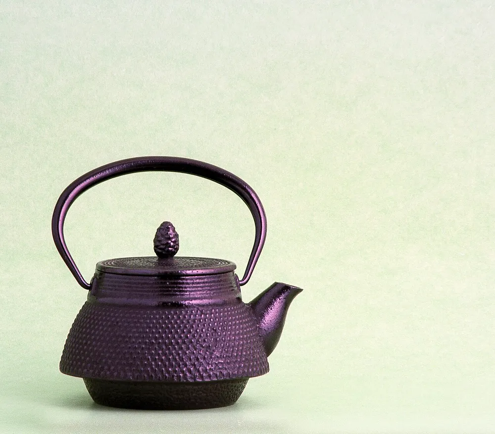 Photo of a similar item: Iwachu Japanese Iron Tetsubin Teapot, Hobnail, Black