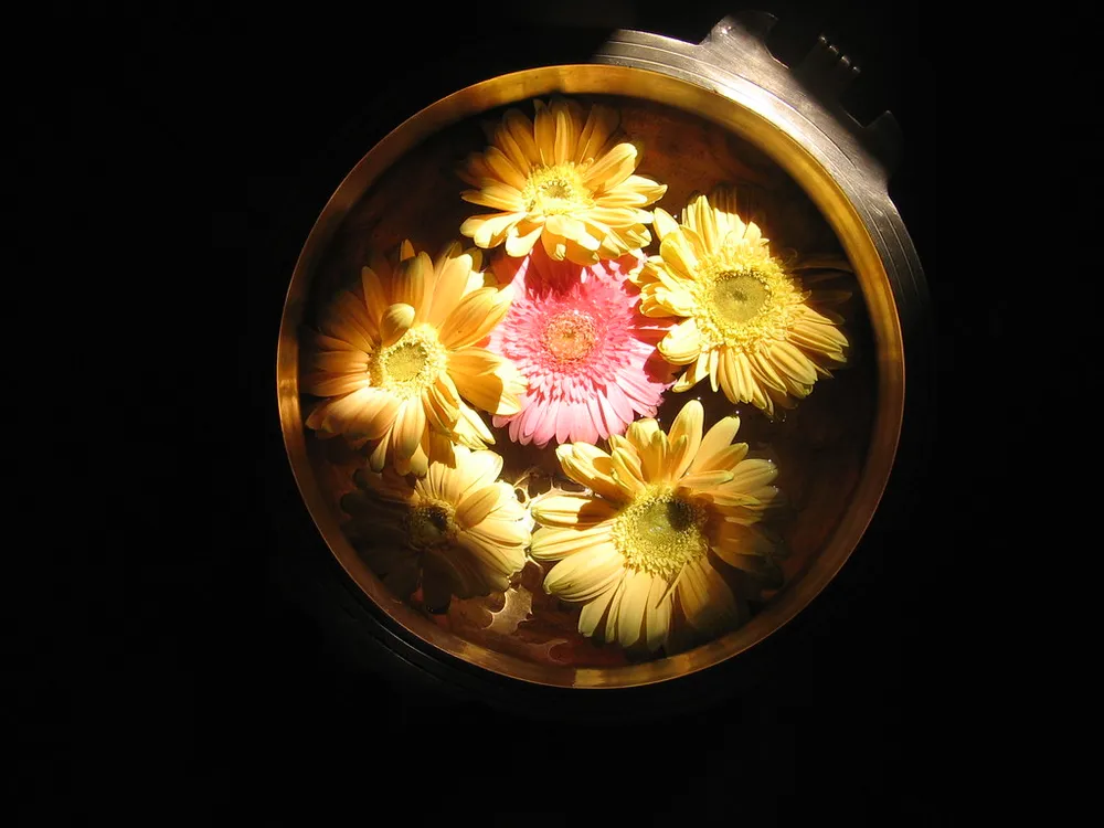 Photo of a similar item: SATVIK Metal Urli Bowls, Set of 2