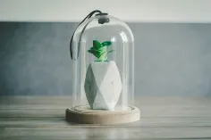 Photo of a similar item: Creativity for Kids Grow 'N Glow Terrarium Kit