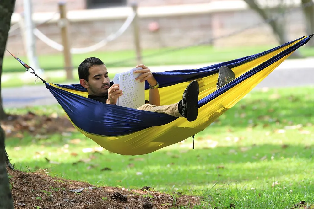 Photo of a similar item: Vivere Double Cotton Hammock with 9-Foot Steel Stand