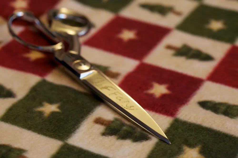 Photo of a similar item: Kai 7250SL 10-Inch Professional Shears