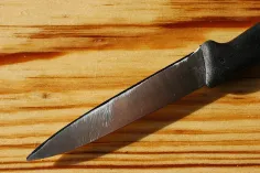 Photo of a similar item: DMT Dia-Sharp Diamond Bench Stone, 8 Inch, Fine